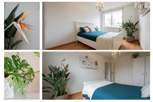 Medium property photo - Bovenstraat-Erf 41, 4741 AV Hoeven